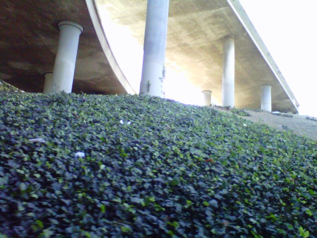 Under the Freeway